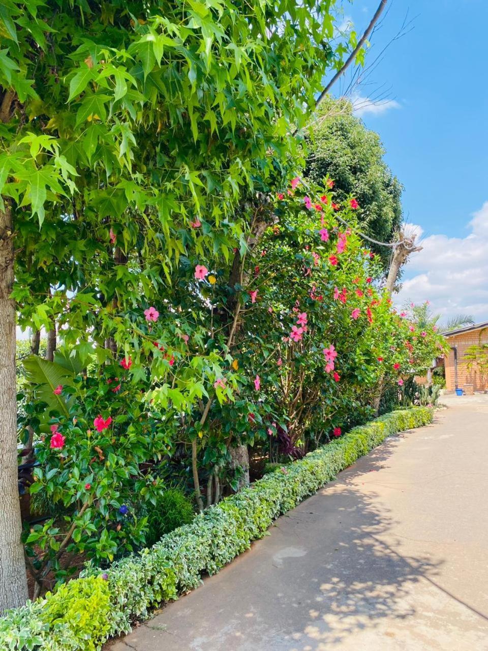 Chez Jeanne Auberge Talata-maty エクステリア 写真